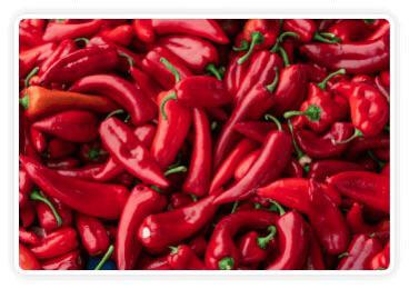 Andalusian Red Pepper — Supports increased calorie burning after meals.