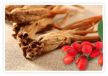 Berberine & Korean Red Ginseng Encourages steady energy and vitality.